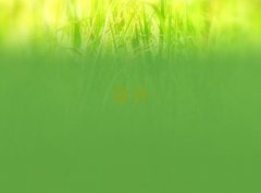 2025cpaӖļҺ10