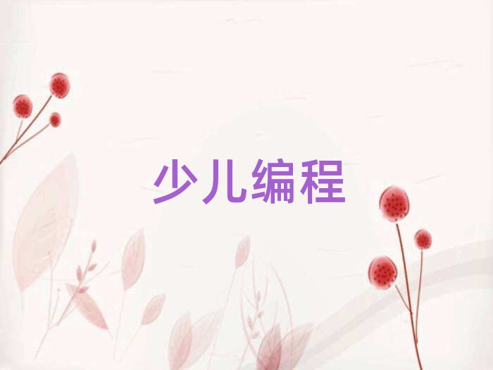 南寧青少年編程培訓學校