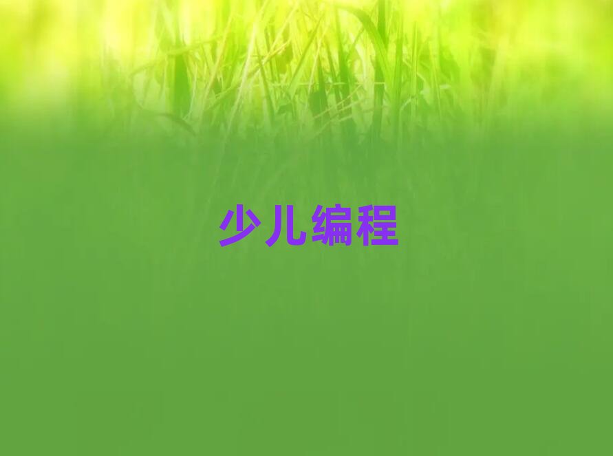 保定少兒編程培訓學校