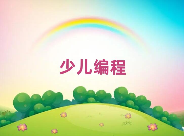 武漢在哪里學少兒學編程