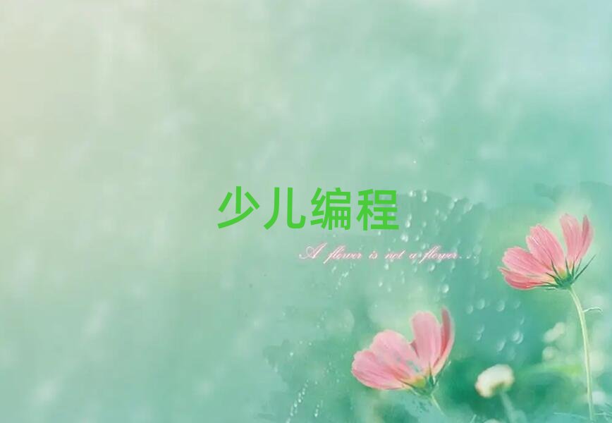 北京石景山區(qū)中學(xué)生學(xué)編程培訓(xùn)學(xué)校