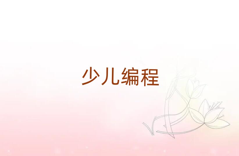 2020年青島城陽區去哪里學初中生編程好