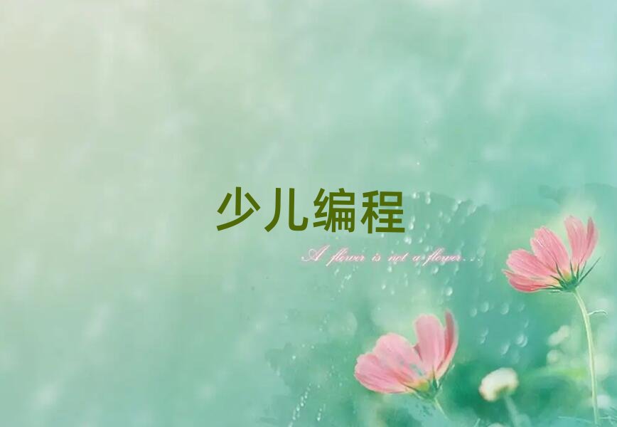 2020北京那里有可以培訓初中生學編程