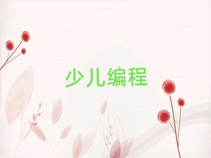 北京少兒編程培訓(xùn)學(xué)校