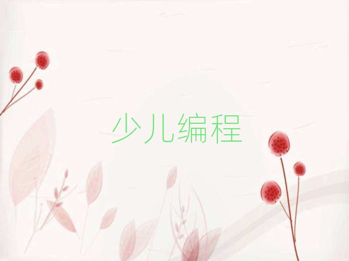 2020年西安蓮湖區(qū)少兒編程網(wǎng)上培訓(xùn)