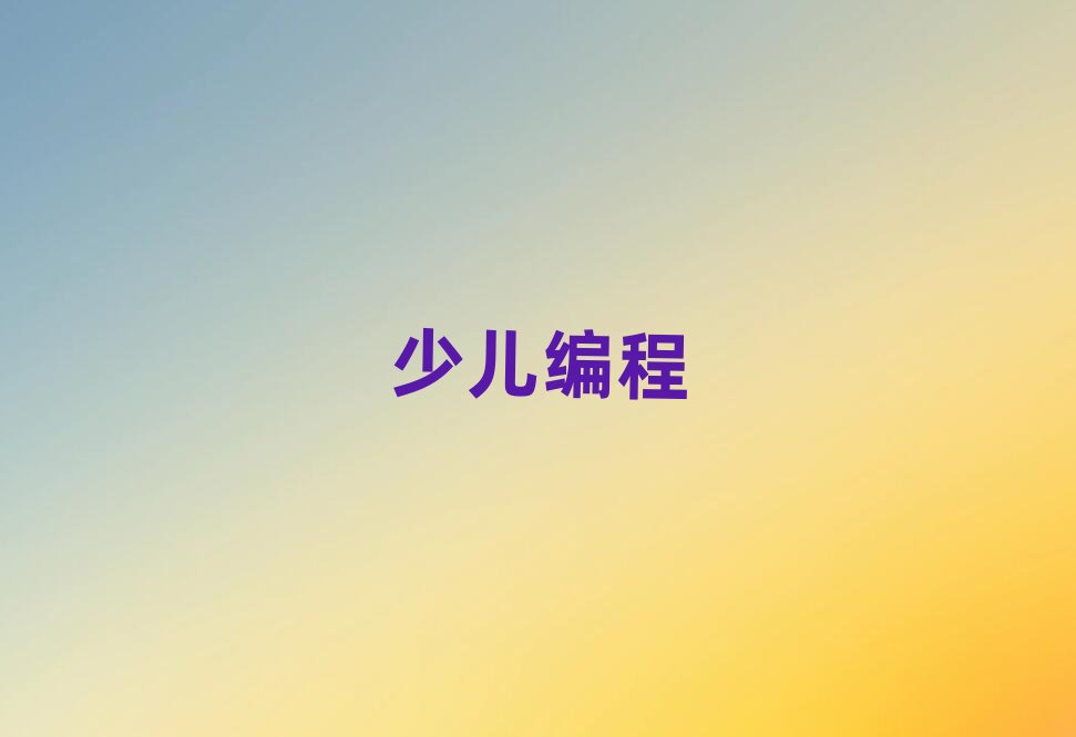 2020年武漢江岸區(qū)學初中生學編程