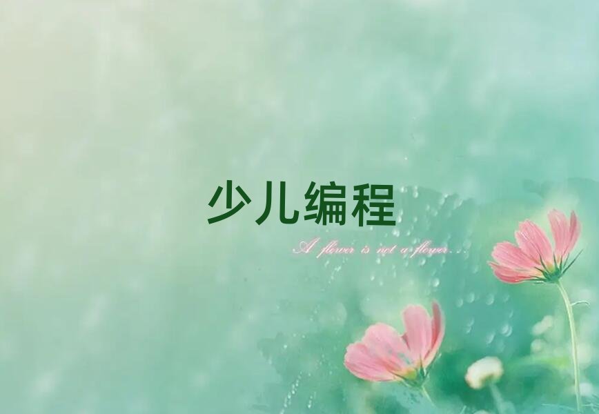 武漢武昌區(qū)學(xué)少兒學(xué)scratch選哪個(gè)學(xué)校