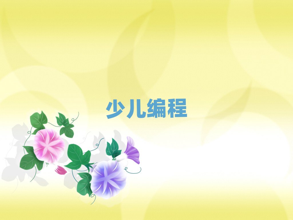 2020年武漢學少兒學noip編程好處