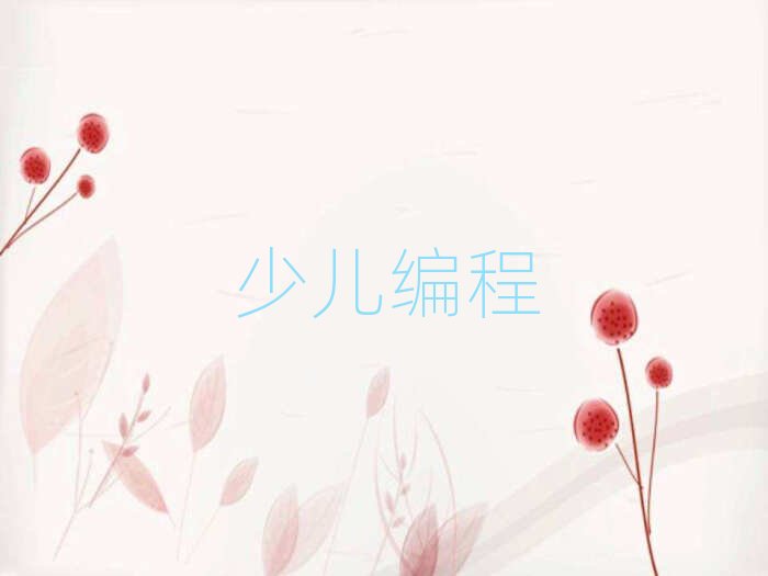 深圳少兒編程培訓學校