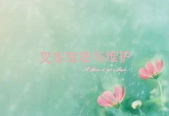 ���Ҹ�sat��Ӗ�M��ʮ������