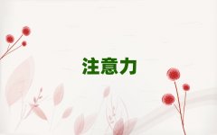 2025�����u��������ע������������Ӗ�Ă���