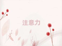 2025��ɽ�A�x��B���I�ك�ע����Ӗ����Ӗ�C��