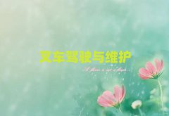 ϲӢZZӖWM