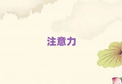 �V�ݻ����^�ك�ע������������Ӗ�n�̶����X