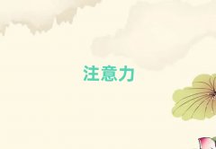 �ļ���h�����^�ك���ע�������Ӗ��Ч����