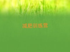 2025��ɽӖ���I�p�ʶ����X����ǰʮ