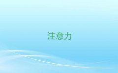 2025��h�W(xu��)�ك�ע����Ӗ(x��n)������Ӗ(x��n)�C(j��)��(g��u)