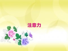 2025�걣������W��ͯ��ע��Ӗ�����^��