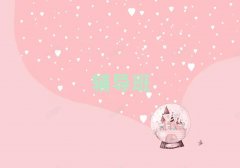 2025�Ӱ�С�W�Z���a���������