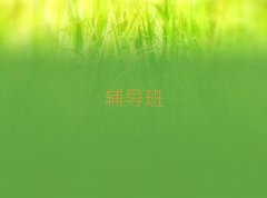 2025P\a
