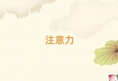 ���݌W(xu��)�ك�ע����Ӗ(x��n)����ǰ;��