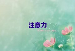 2025��ɽ�ك�ע����Ӗ����Ӗ�����X