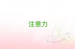 2025�W��X�ك�ע������������Ӗ���B�T��ɽ��B