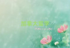 |ݸ|ӻyڌI(y)Ӗ(xn)W(xu)У