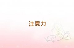 2025��B�Tͬ���^�W��ͯע����Ӗ���ļҿڱ���