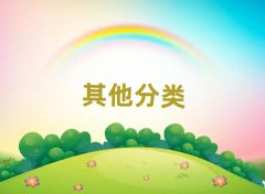 ����ļ�С�����a���C����