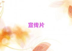 ��������������ǰʮ��I����Ƭ�Ĕz�����X