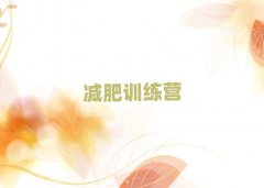 2025����ʮ�������Мp�ʵ�Ӗ���I����