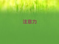 ��h�hꖅ^ʮ����ӛ�����WУ����