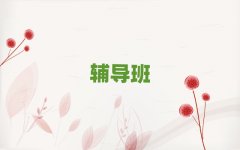 2025������С������Ӗ��