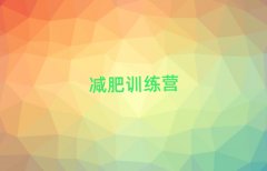 2025���y�p��Ӗ���I�ò�������