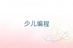 ���������ֵ̽�ͯ��ͯ��python�ك�������Ӗ�WУ��