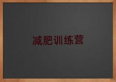 �����p��Ӗ���I�M������