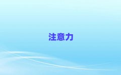 2025��h�W�ك���ע�������Ӗ����ʮ��