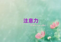 2025������ƽ�^����ǰʮ���Ӆ��W������