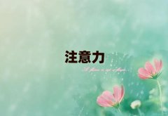 2025���ݹ����^(q��)ʮ���ك�ע����Ӗ(x��n)���C(j��)��(g��u)����