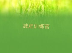 2025�ؑc���T�p��Ӗ���I����