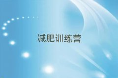 ��ؕ�p��Ӗ���I�r���������