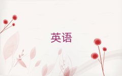 ڱǰʮӢZZWУxγt