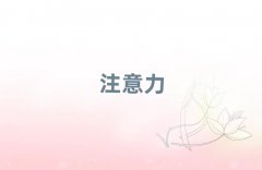 2025��V�ݺ���ע������������Ӗ�C���������γ��t