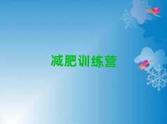 ʏ���p��Ӗ���I����Щ����