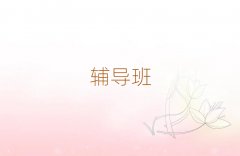 �Ͼ���Ҏ(gu��)С�W(xu��)�Z�ęC��(g��u)�������ι���