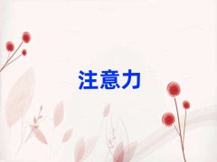 2025���°��걱���W�ك��W���ϵKҪ���ٌW�M���x���γ��t