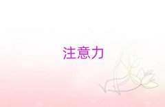 2025����h�����^�ك���ע�������Ӗ������X���x���γ��t