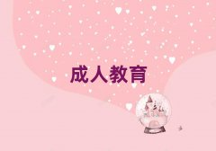 ӢZZӖCһ[γt