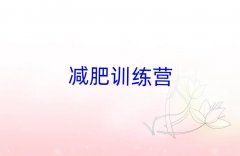 ��֦������ǰʮ�Ĝp������I��Ӗ�ྫ�x���γ��t